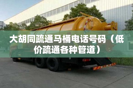 大胡同疏通馬桶電話號碼（低價疏通各種管道）
