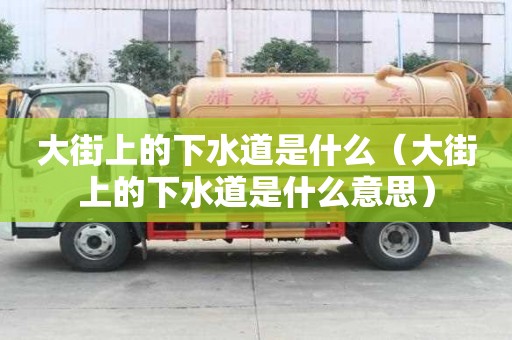大街上的下水道是什么（大街上的下水道是什么意思）