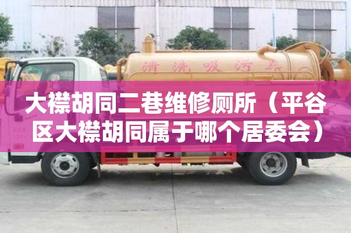 大襟胡同二巷維修廁所（平谷區大襟胡同屬于哪個居委會）