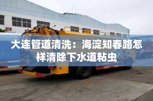 大連管道清洗：海淀知春路怎樣清除下水道粘蟲