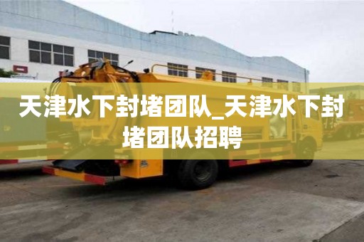 天津水下封堵團隊_天津水下封堵團隊招聘 天津水下封堵團隊_天津水下封堵團隊招聘