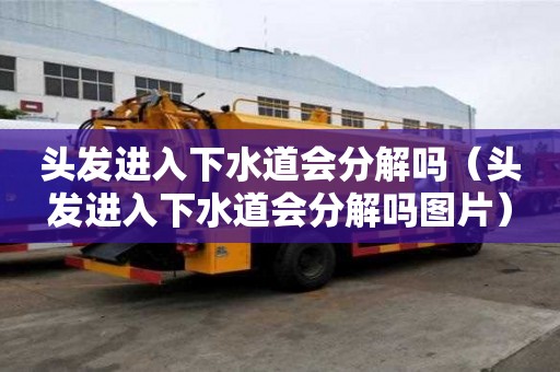 頭發進入下水道會分解嗎（頭發進入下水道會分解嗎圖片）