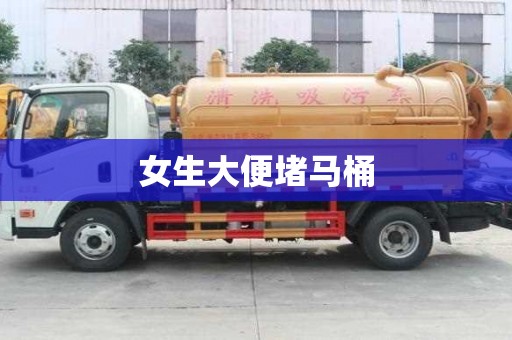 女生大便堵馬桶