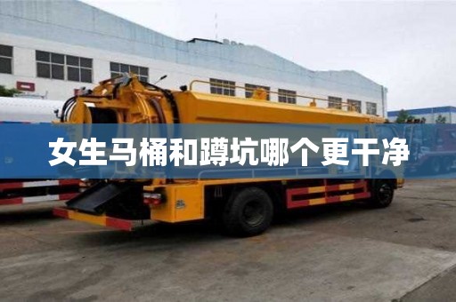 女生馬桶和蹲坑哪個更干凈