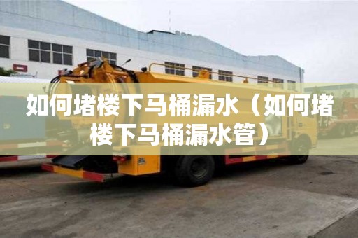 如何堵樓下馬桶漏水（如何堵樓下馬桶漏水管）
