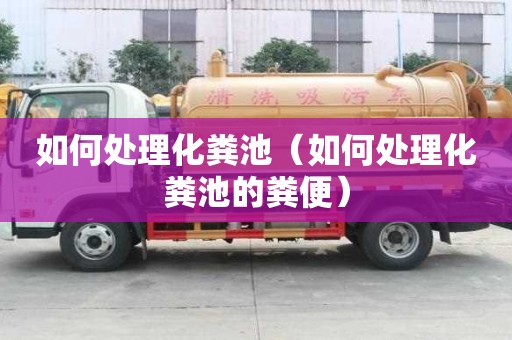 如何處理化糞池（如何處理化糞池的糞便）