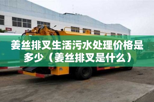 姜絲排叉生活污水處理價格是多少（姜絲排叉是什么）