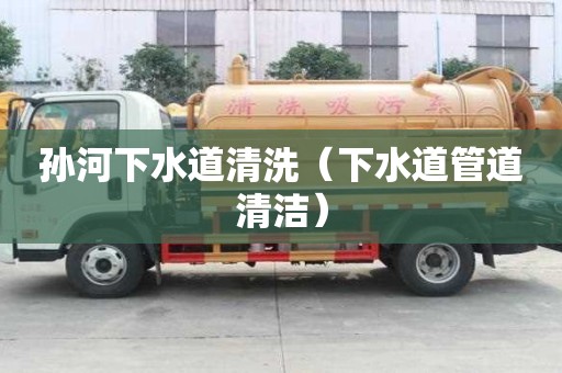 孫河下水道清洗（下水道管道清潔）