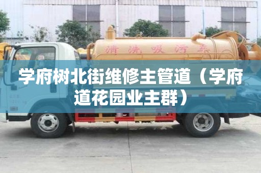 學(xué)府樹北街維修主管道（學(xué)府道花園業(yè)主群）