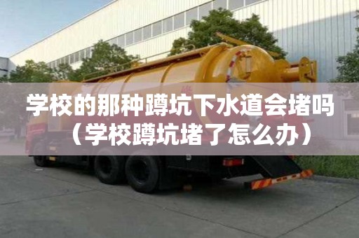 學(xué)校的那種蹲坑下水道會(huì)堵嗎(學(xué)校蹲坑堵了怎么辦) 學(xué)校的那種蹲坑下水道會(huì)堵嗎(學(xué)校蹲坑堵了怎么辦)