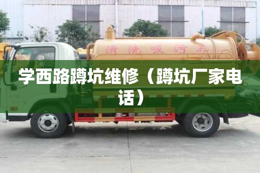 學西路蹲坑維修（蹲坑廠家電話）