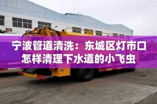 寧波管道清洗：東城區燈市口怎樣清理下水道的小飛蟲