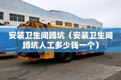 安裝衛生間蹲坑（安裝衛生間蹲坑人工多少錢一個）