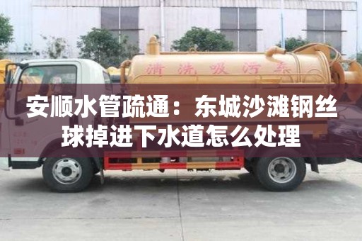 安順?biāo)苁柰ǎ簴|城沙灘鋼絲球掉進(jìn)下水道怎么處理