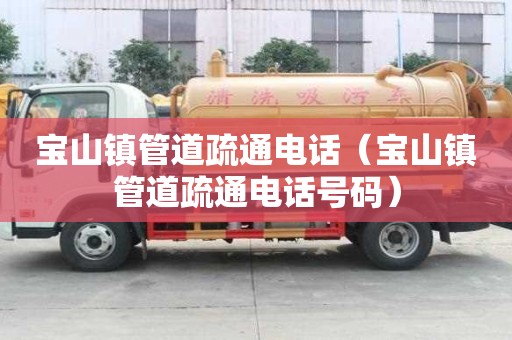 寶山鎮管道疏通電話（寶山鎮管道疏通電話號碼）