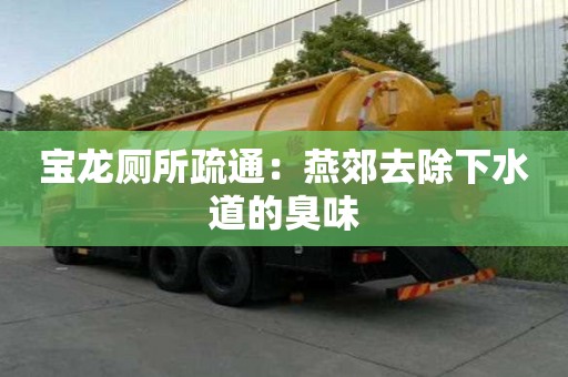 寶龍廁所疏通：燕郊去除下水道的臭味
