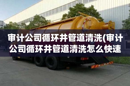 審計公司循環井管道清洗(審計公司循環井管道清洗怎么快速)
