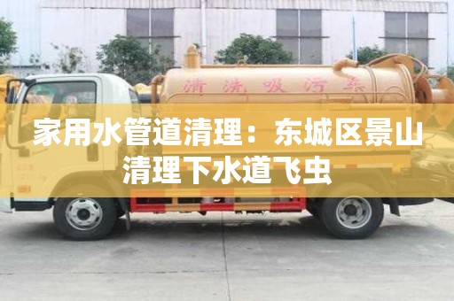 家用水管道清理：東城區景山清理下水道飛蟲