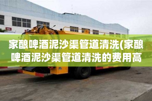 家釀啤酒泥沙渠管道清洗(家釀啤酒泥沙渠管道清洗的費用高嗎)