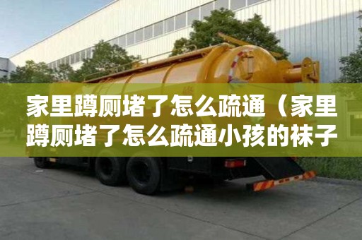 家里蹲廁堵了怎么疏通（家里蹲廁堵了怎么疏通小孩的襪子短褲掉進去了）