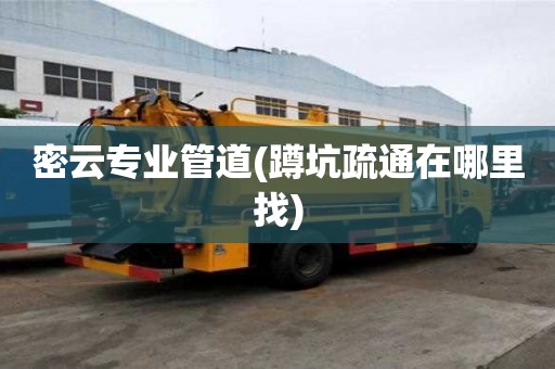 密云專業管道(蹲坑疏通在哪里找)