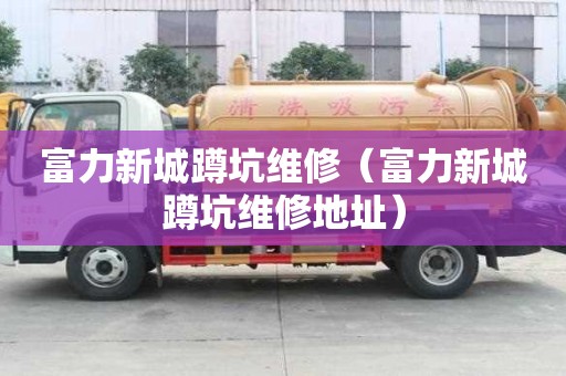 富力新城蹲坑維修（富力新城蹲坑維修地址）