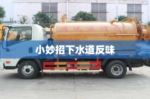 小妙招下水道反味