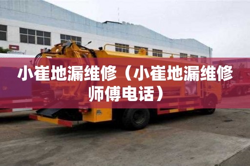 小崔地漏維修（小崔地漏維修師傅電話）