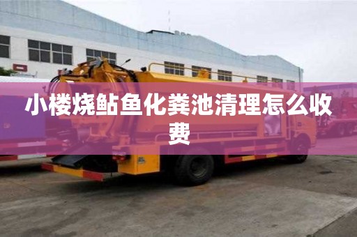 小樓燒鲇魚化糞池清理怎么收費