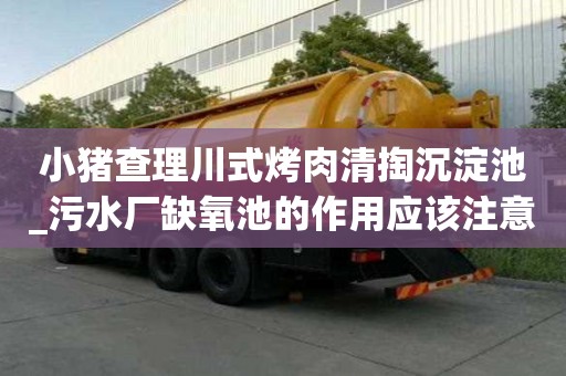 小豬查理川式烤肉清掏沉淀池_污水廠缺氧池的作用應該注意什么呢