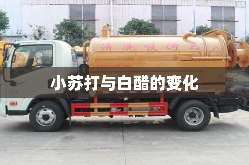小蘇打與白醋的變化