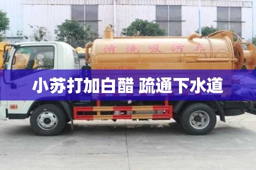 小蘇打加白醋 疏通下水道