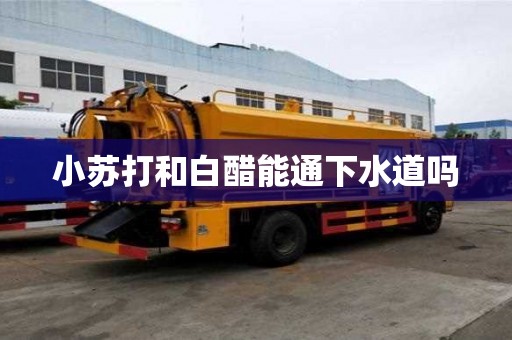 小蘇打和白醋能通下水道嗎