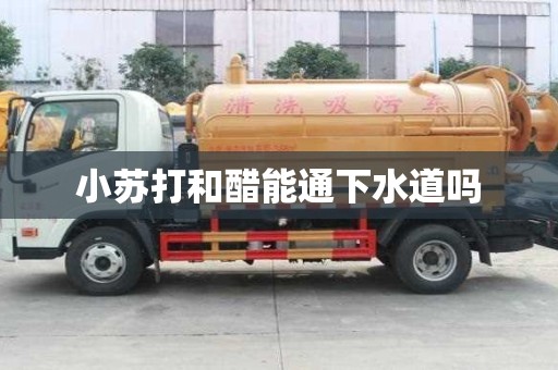 小蘇打和醋能通下水道嗎