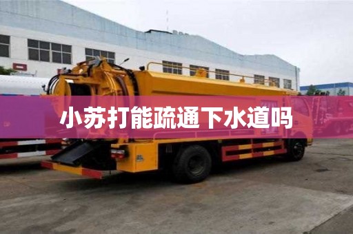 小蘇打能疏通下水道嗎