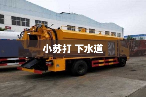 小蘇打 下水道