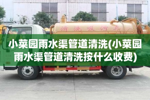 小菜園雨水渠管道清洗(小菜園雨水渠管道清洗按什么收費)