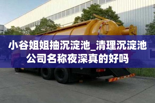 小谷姐姐抽沉淀池_清理沉淀池公司名稱夜深真的好嗎