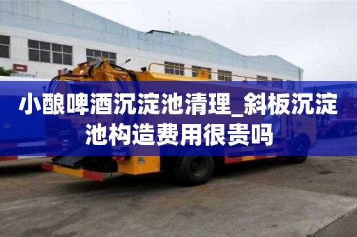 小釀啤酒沉淀池清理_斜板沉淀池構造費用很貴嗎