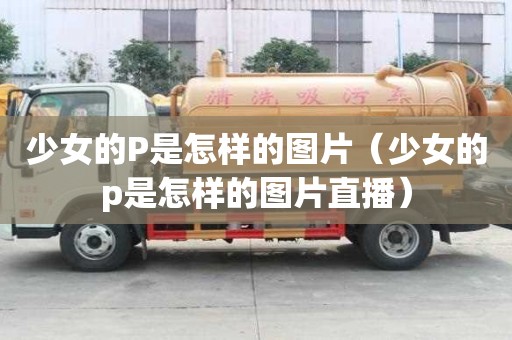 少女的P是怎樣的圖片（少女的p是怎樣的圖片直播）