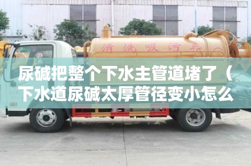 尿堿把整個下水主管道堵了（下水道尿堿太厚管徑變小怎么辦）