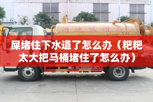 屎堵住下水道了怎么辦（粑粑太大把馬桶堵住了怎么辦）