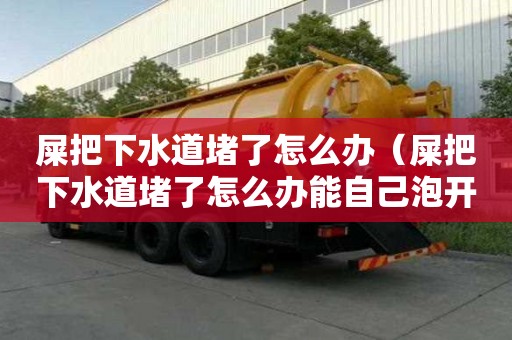 屎把下水道堵了怎么辦（屎把下水道堵了怎么辦能自己泡開嗎）
