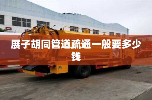展子胡同管道疏通一般要多少錢 展子胡同管道疏通一般要多少錢