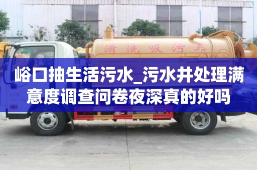 峪口抽生活污水_污水井處理滿意度調查問卷夜深真的好嗎
