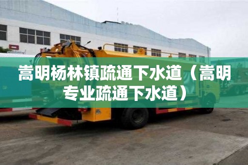 嵩明楊林鎮(zhèn)疏通下水道（嵩明專業(yè)疏通下水道）