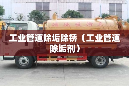 工業(yè)管道除垢除銹（工業(yè)管道除垢劑）