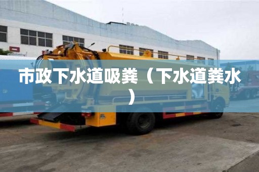 市政下水道吸糞（下水道糞水）
