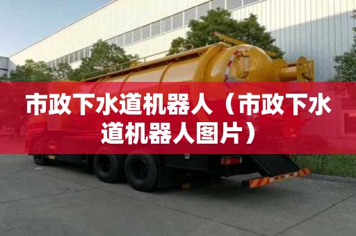 市政下水道機器人（市政下水道機器人圖片）