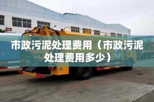 市政污泥處理費用（市政污泥處理費用多少）